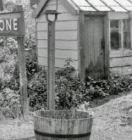 006 The Station Master’s Greenhouse. Photograph copyright and courtesy the S&D Railway Trust ‘Rimmer’ Collection.
Notes 
1)	Rather deteriorated condition of the greenhouse could suggest 1960s period?  
2)	Platform garden layout and maturity of tre